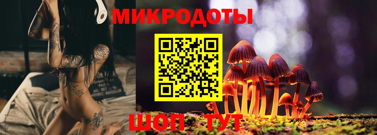 закладки  Вход с VPN  Бузулук  Галлюциногенные грибы мухоморы 